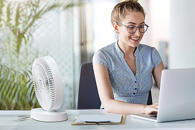 best table fans in Japan