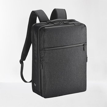 Ace Gene Business Backpack