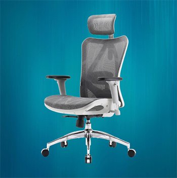 SIHOO M57 Office Chair