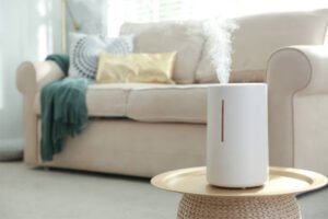 best humidifier in Japan