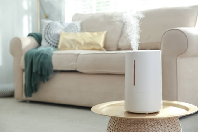 best humidifier in Japan