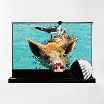 VIVID STORM SINCE 2004 4K Electric Projector Screen