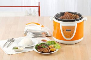 Best Electric Pressure Cookers in Japan